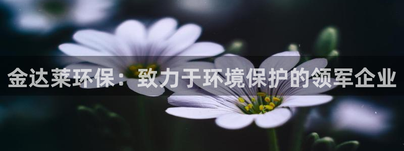 jdb电子是哪里开发的游戏