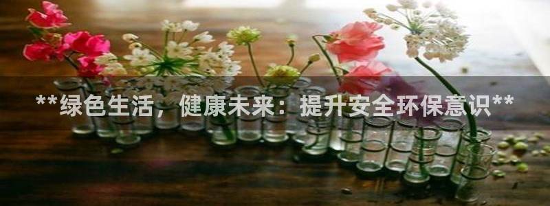 jdb电子维护到什么时候