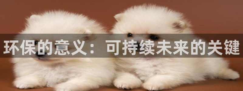 JDB电子联系方式