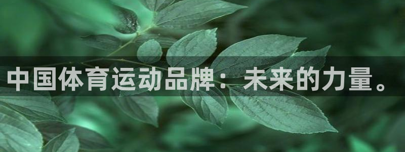 球王会体育
