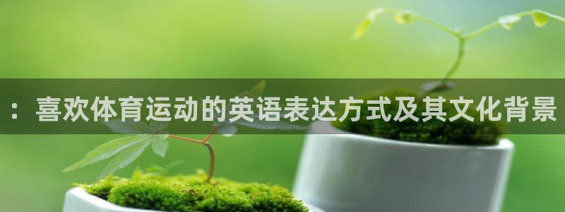 球王会体育