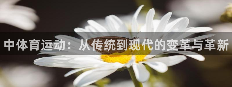 球王会体育