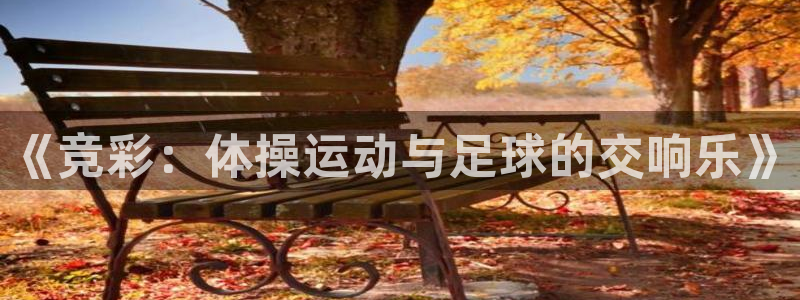 球王会体育