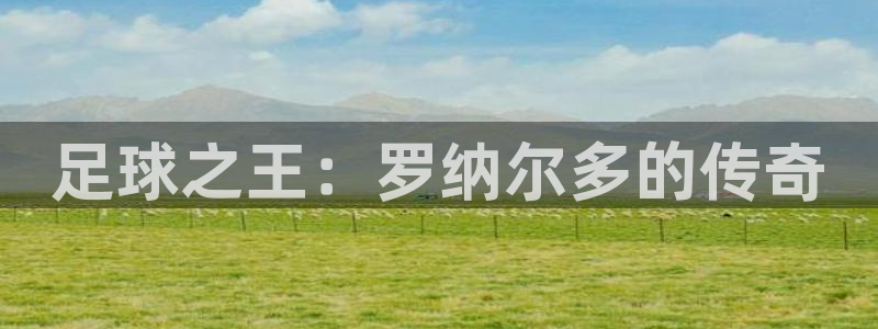 球王会体育