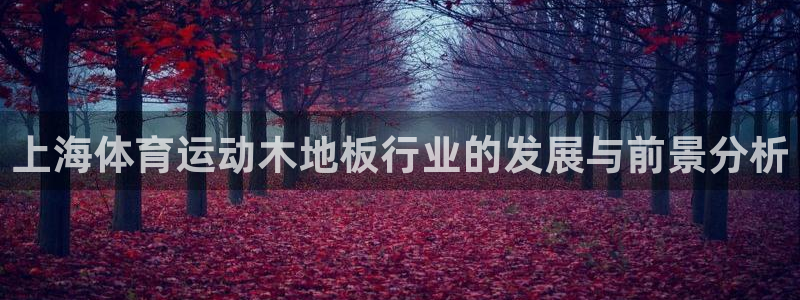 球王会体育