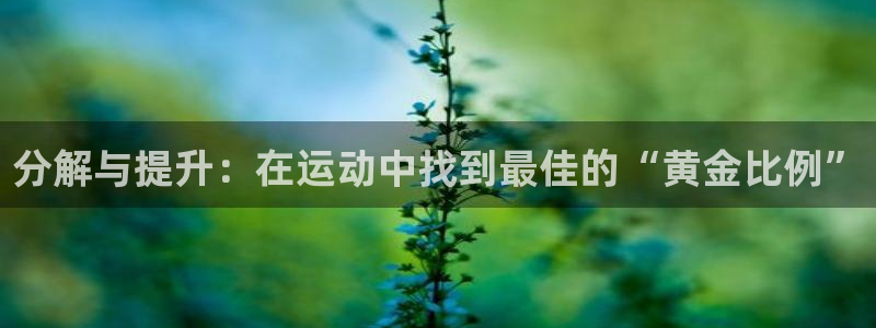 球王会体育