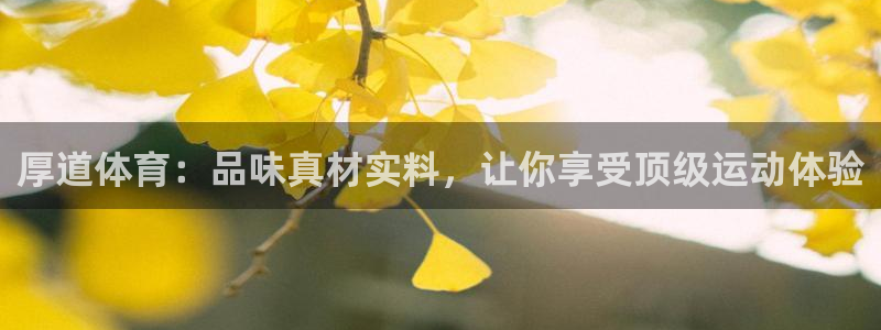 球王会体育