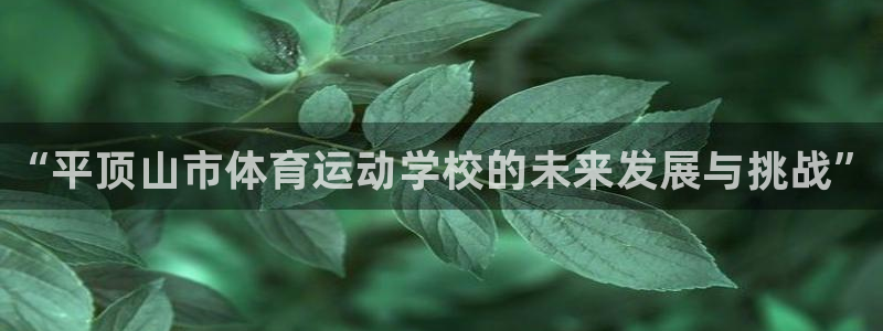 球王会体育