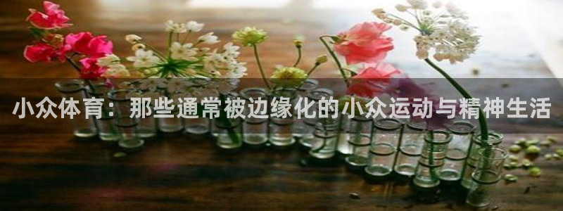 球王会体育