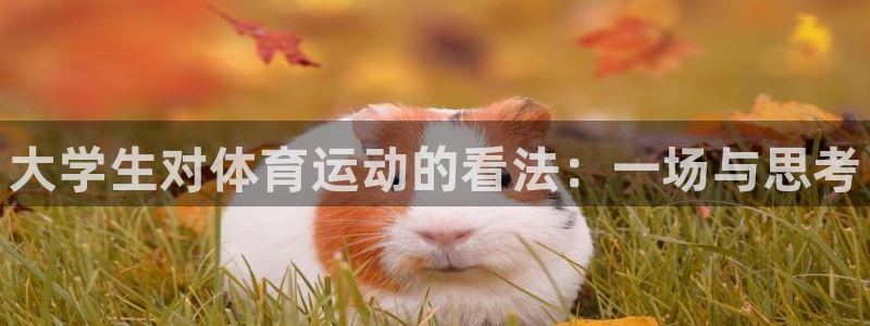 球王会体育