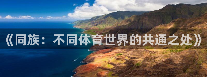 球王会体育