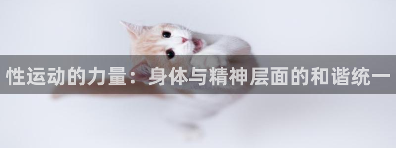 球王会体育