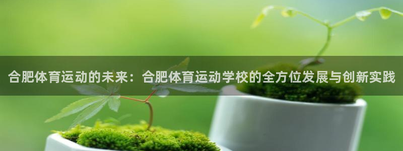 球王会体育