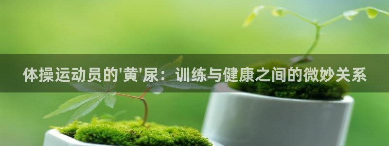 球王会体育