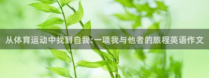球王会体育