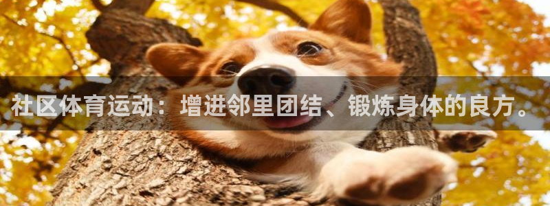 球王会体育