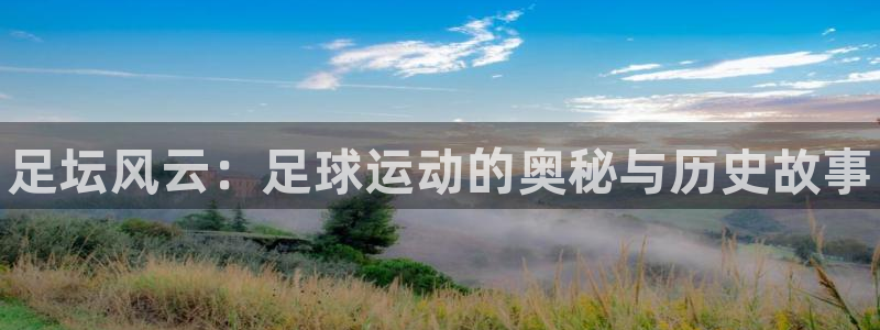 球王会体育