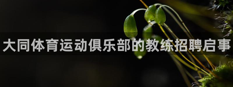 球王会体育
