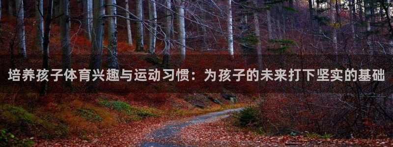 球王会体育