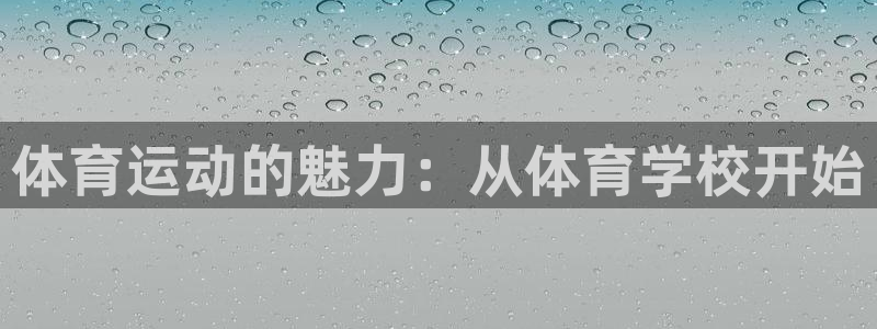 球王会体育