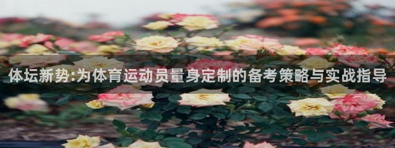 球王会体育