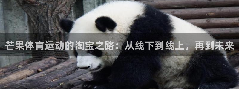 球王会体育