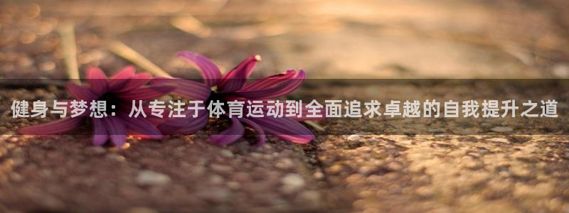 球王会体育