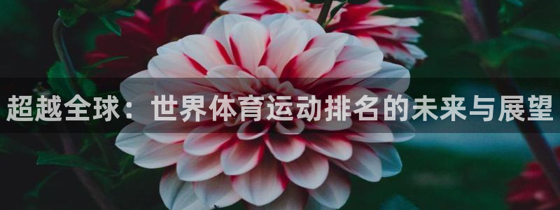 球王会体育