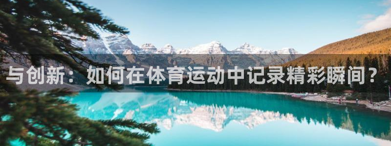 球王会体育