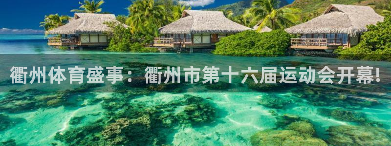 球王会体育