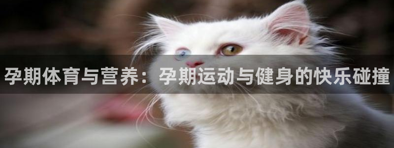 球王会体育