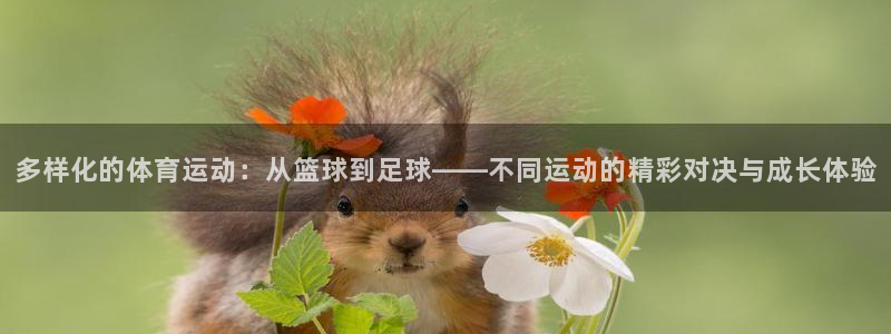 球王会体育