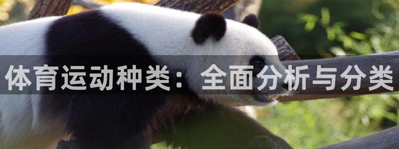 球王会体育