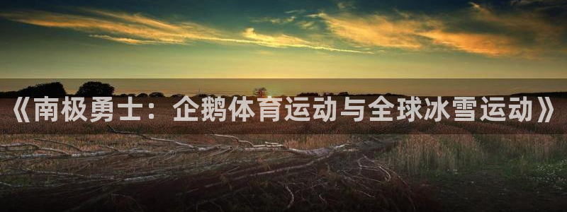 球王会体育