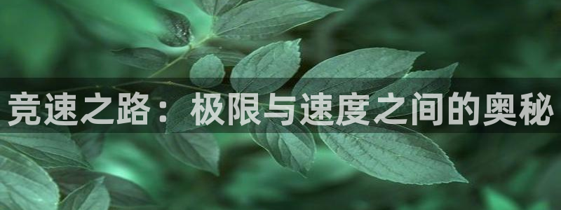 球王会体育