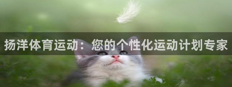 球王会体育