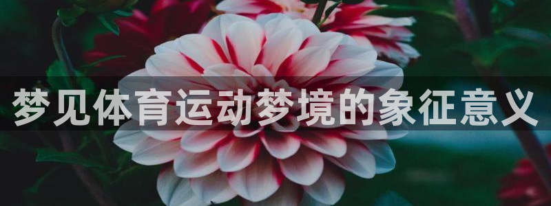 球王会体育
