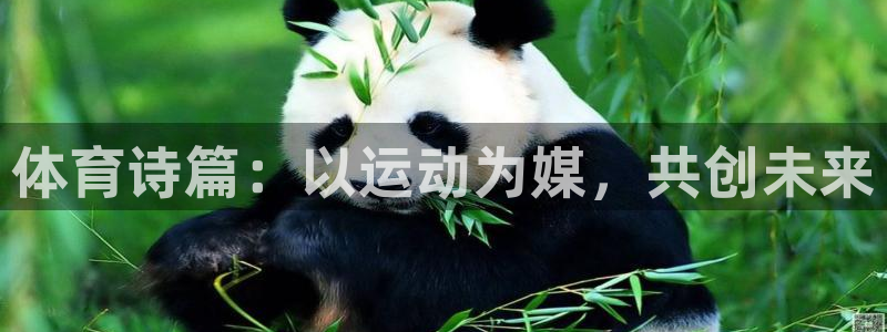 球王会体育