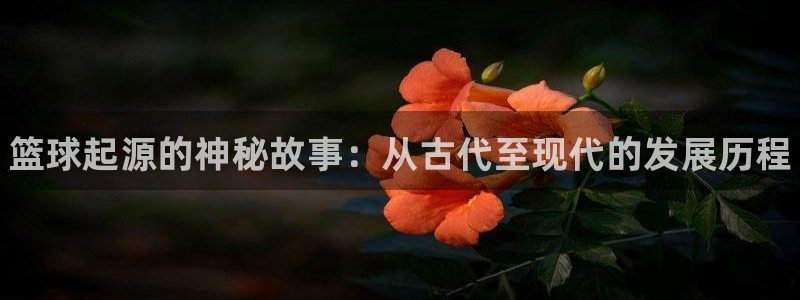 球王会体育