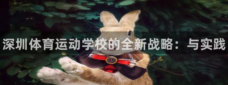 球王会体育