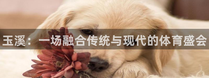 球王会体育