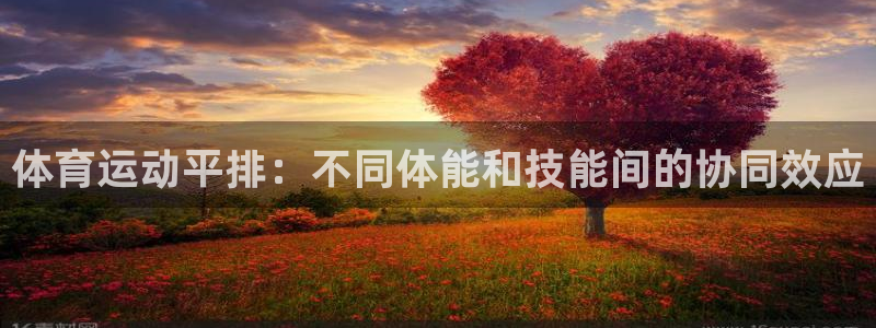 球王会体育
