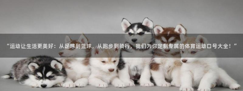 球王会体育