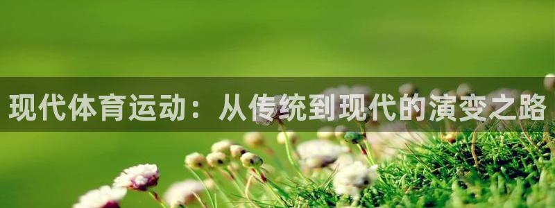 球王会体育