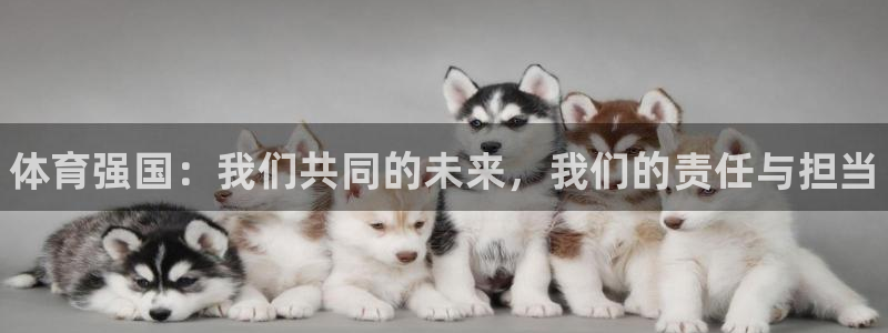 球王会体育
